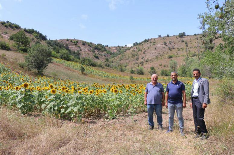 ORDU TARİHİNDE BİR İLK